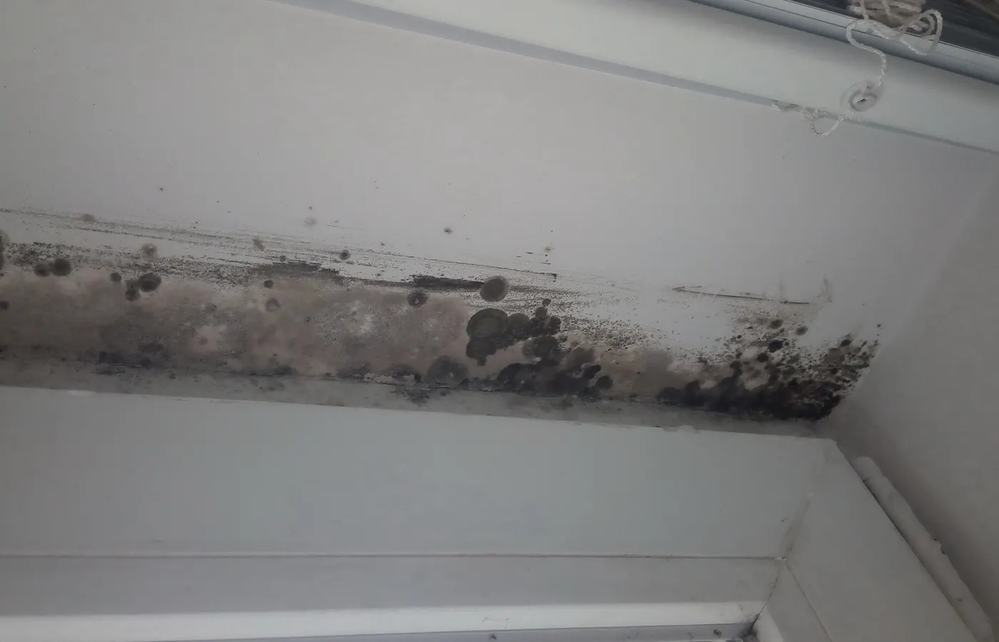 Dark mold growth visible along the corner of an interior wall